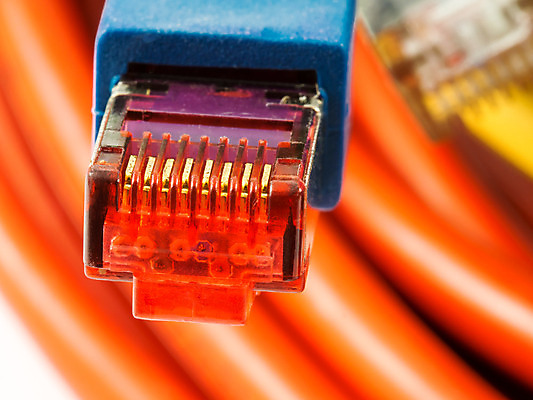 포토 JPG 해외이미지 인터넷 통신 사람없음 빨간색 파란색 컴퓨터 노란색 고양이 네트워크 플러그 연결 스위치 온라인 랜 서버 네트워킹 해외202004 해외포토 컬러 포유류 전자제품 반려동물 파일형식 이미지허브