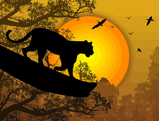 EPS 해외이미지 나무 동물 실루엣 야생동물 일러스트 아프리카 자연 조류 하늘 서기 야외 그래픽 태양 검은색 고양이 일몰 시골 호랑이 고독 위험 왕 심볼 라인아트 사파리 피부 육식동물 육식 표범 암사자 해외202004 해외일러스트 자연요소 식물 감정 나라 선 컬러 컨셉 포유류 모션 촬영기법 신체부위 반려동물 노을 사자 암컷 생태계 파일형식 벡터 이미지허브