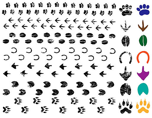 EPS 해외이미지 동물 신발 패턴 일러스트 자국 발 조류 오리 고양이 개 발자국 질감 먼지 밟기 그런지 선로 양발 각인 해외202004 해외일러스트 무늬 포유류 모션 신체부위 반려동물 파일형식 벡터 이미지허브