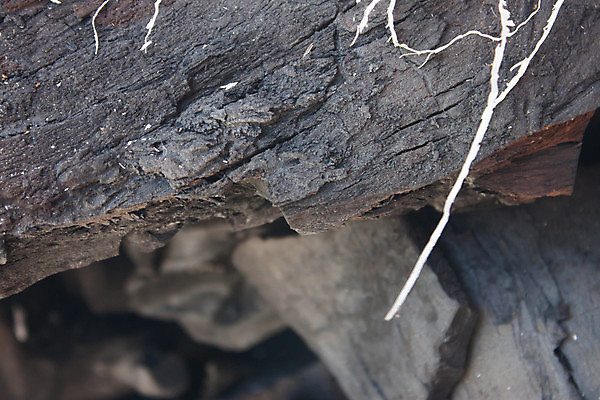 포토 JPG 해외이미지 산업 조각 백그라운드 불 따뜻함 사람없음 우주 환경 검은색 힘 에너지 뜨거움 재산 닫기 화재 날것 화석 연료 자원 배기가스 석탄 이산화탄소 화상 카피스페이스 해외202004 해외포토 자연요소 컬러 모션 금융 공백 상처 사건 파일형식 이미지허브