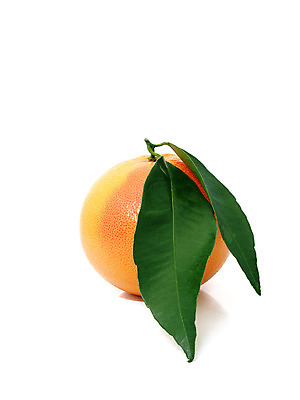 포토 JPG 해외이미지 라이프스타일 음료 음식 백그라운드 잎 오렌지 과일 재료 자연 귤 건강 그림자 사람없음 가로 빨간색 초록색 노란색 활발 흰색 신선 달콤 자르기 먹기 가득함 오브젝트 싱글 상쾌 유기농 날것 향기 슛 문학 길이 고립 숙성 채식주의자 해외202004 해외포토 식물 웰빙 감정 컬러 컨셉 모션 생활 맛 생태계 채식 냄새 파일형식 이미지허브