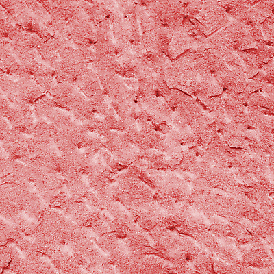 포토 JPG 해외이미지 디자인 꽃 백그라운드 잎 꽃무늬 패턴 추상 창조 사람없음 컴퓨터그래픽 장식 소용돌이 나뭇가지 화려 우아함 은색 해외202004 해외포토 나무 식물 컬러 컨셉 무늬 그래픽 회오리 파일형식 이미지허브