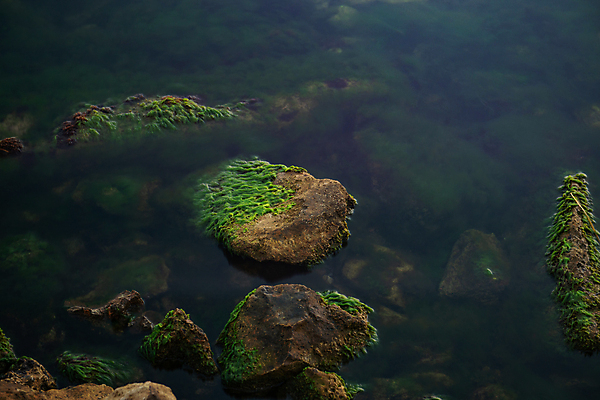포토 JPG 해외이미지 파도 바다 분홍색 여행 백그라운드 모션 자연 하늘 휴가 풍경 사람없음 야외 빨간색 물 여름 파란색 빛 컬러풀 햇빛 태양 일출 보라색 침묵 황혼 일몰 새벽 조약돌 바위 저녁 신비 장면 마법 파스텔톤 수평선 해외202004 해외포토 자연요소 계절 컬러 컨셉 노을 소리 돌_바위 야간 생태계 파일형식 이미지허브