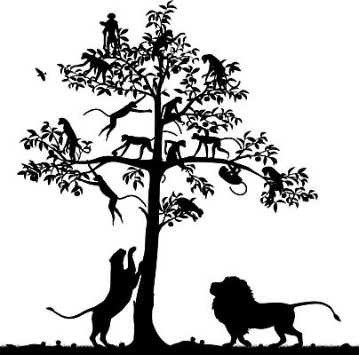 EPS 해외이미지 나무 디자인 실루엣 야생동물 일러스트 포유류 아프리카 자연 안전 그래픽 검은색 고양이 원숭이 탈출 사냥 오르기 윤곽 육식동물 암사자 해외202004 해외일러스트 식물 동물 나라 컬러 컨셉 모션 촬영기법 반려동물 사자 암컷 생태계 파일형식 벡터 이미지허브