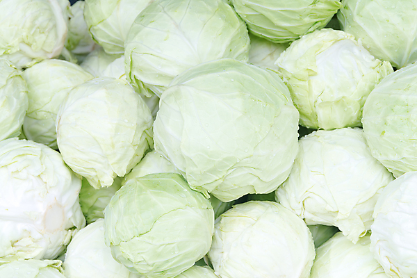 포토 JPG 해외이미지 식물 음식 백그라운드 잎 농업 다이어트 채소 과일 재료 자연 건강 요리 사람없음 초록색 정원 봄 샐러드 흰색 신선 시장 먹기 유기농 질감 양배추 날것 내추럴 채식주의자 해외202004 해외포토 웰빙 계절 산업 컬러 모션 생태계 채식 파일형식 이미지허브