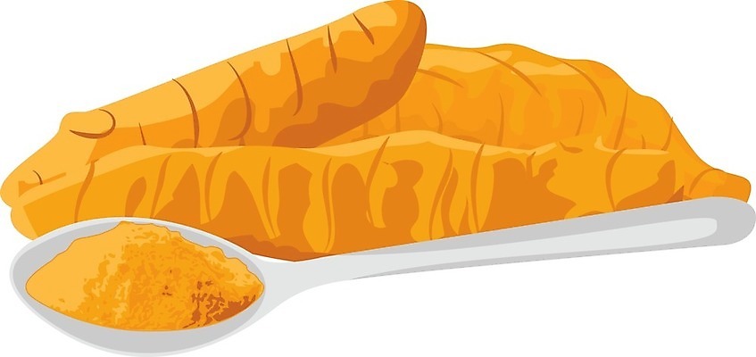 EPS 해외이미지 백그라운드 농업 채소 오렌지 일러스트 재료 건강 요리 동양인 약 식사 흰색 양념 조미료 가루 허브 향신료 유기농 매움 뿌리 향 건강식 내추럴 채식주의자 치료제 강황 비건 해외202004 해외일러스트 식물 웰빙 산업 음식 컬러 과일 식재료 의학 인종 맛 채식 향미료 파일형식 벡터 이미지허브