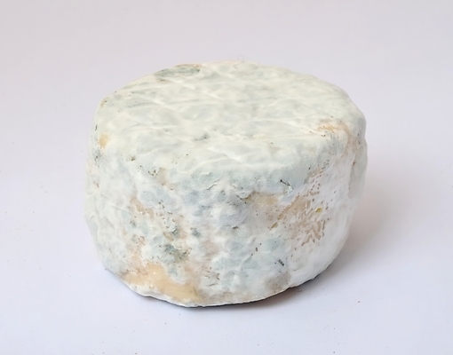 포토 JPG 해외이미지 유럽 음식 염소 치즈 유제품 사람없음 우유 프랑스 정물화 해외202004 해외포토 나라 포유류 그림 파일형식 이미지허브