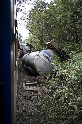 포토 JPG 해외이미지 나무 사람없음 기차 죽음 숲 사건 브라질 해외202004 해외포토 식물 육상교통 대중교통 남아메리카 파일형식 이미지허브