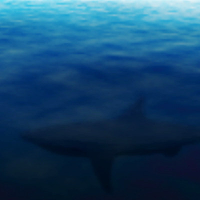 EPS 해외이미지 동물 야생동물 바다 일러스트 자연 어류 그래픽 물 파란색 수중 위험 육식동물 상어 나쁜 해외202004 해외일러스트 자연요소 컬러 컨셉 수중동물 생태계 파일형식 벡터 이미지허브