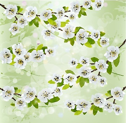 EPS 해외이미지 나무 식물 디자인 배너 계절 꽃잎 꽃 백그라운드 컨셉 잎 꽃무늬 농업 일러스트 자연 프레임 미술 야외 초록색 여름 라벨 새싹 정원 일본 맑음 봄 공백 벚꽃 나뭇가지 신선 신용카드 개화 4월 에코 브런치 내추럴 엘리먼트 해외202004 해외일러스트 산업 아시아 컬러 무늬 날씨 문화예술 금융 환경 식사 날짜 생태계 파일형식 벡터 이미지허브