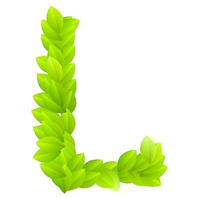 EPS 해외이미지 나무 식물 캐릭터 디자인 알파벳 계절 백그라운드 컨셉 잎 꽃무늬 일러스트 텍스트 자연 그래픽 초록색 여름 세트 컬러풀 환경 정원 봄 활발 흰색 신선 편지 수집 심볼 오브젝트 사인 에코 유기농 생태계 질감 생물학 L 타입 내추럴 고립 바이오 생태학 스타일 해외202004 해외일러스트 일러캐릭터 웰빙 영어 교육 꽃 컬러 무늬 파일형식 벡터 이미지허브