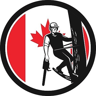 EPS 해외이미지 나무 캐릭터 배너 산업 캐나다 북아메리카 일러스트 그래픽 나뭇가지 깃발 원형 심볼 사인 복고 판매원 마스코트 전기톱 해외202004 해외일러스트 일러캐릭터 도형 식물 직업 아메리카 톱 파일형식 벡터 이미지허브