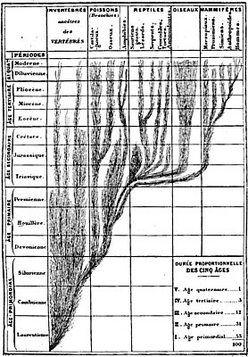 EPS 해외이미지 동물 일러스트 포유류 파충류 탁자 조류 그래프 어류 미술 검은색 수확 골동품 흰색 역사 그림 판화 최초 개발 기간 옛날 지질학 편지쓰기 쥬라기 해외202004 해외일러스트 교육 컬러 가구 농업 문화예술 수중동물 기록 편지 파일형식 벡터 이미지허브