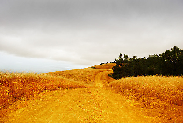 포토 JPG 해외이미지 구름 도로 길 밭 오렌지 자연 하늘 날씨 건조 풍경 사람없음 갈색 노란색 환경 어둠 회색 가을 시골 오픈 땅 언덕 폭풍 무거움 흐림 길가 루트 폭풍우 수평선 해외202004 해외포토 자연요소 계절 컬러 농업 과일 교통시설 비_날씨 무게 자연재해 생태계 파일형식 이미지허브