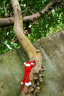 포토 JPG 해외이미지 나무 동물 백그라운드 컨셉 오렌지 자연 추상 아이디어 건조 앉기 사람없음 빨간색 초록색 장난감 놀람 슬픔 원숭이 뜨개질 고독 제비꽃 심볼 명상 니트 해피뉴이어 내추럴 양모 2016년 거짓말 핸드메이드 혼자 해외202004 해외포토 식물 꽃 감정 컬러 상의 무늬 과일 포유류 모션 표정 취미 새해인사 직물 연도 생태계 파일형식 이미지허브