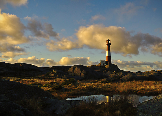 포토 JPG 해외이미지 유럽 자연 북유럽 노르웨이 풍경 사람없음 스칸디나비아 해외202004 해외포토 나라 생태계 파일형식 이미지허브