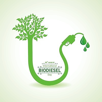 EPS 해외이미지 식물 디자인 컨셉 잎 지도 일러스트 자연 초록색 지구본 환경 재활용 에너지 알코올 플랫 역 심볼 사인 에코 유기농 생태계 연료 가스 자원 내추럴 고립 노즐 디젤 바이오 생태학 인터페이스 카놀라 화학물질 해외202004 해외일러스트 웰빙 교육 컬러 교통시설 화학 친환경 파일형식 벡터 이미지허브