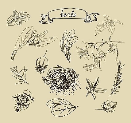 EPS 해외이미지 식물 템플릿 손 디자인 꽃잎 꽃 음식 백그라운드 잎 꽃무늬 밭 일러스트 자연 요리 미술 장식 여름 주방 정원 수확 벚꽃 나뭇가지 신용카드 화려 개화 맛 낙서 인쇄 스케치 민트 허브 그림 질감 복고 냄새 내추럴 해외202004 해외일러스트 나무 계절 컨셉 무늬 농업 문화예술 신체부위 금융 생태계 파일형식 벡터 이미지허브