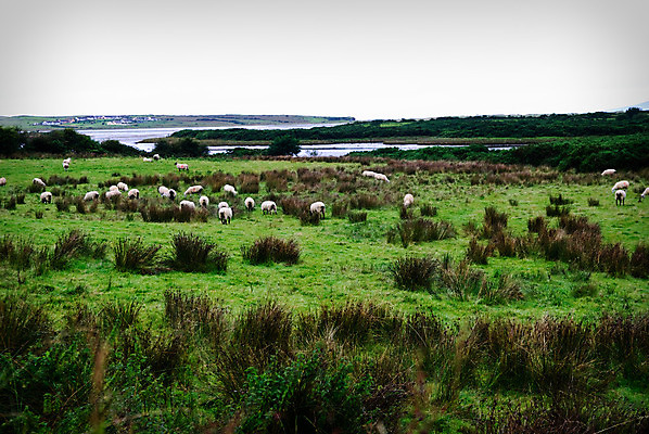 포토 JPG 해외이미지 바다 자연 산 풍경 사람없음 초록색 물 아일랜드 해외202004 해외포토 자연요소 유럽 컬러 생태계 파일형식 이미지허브