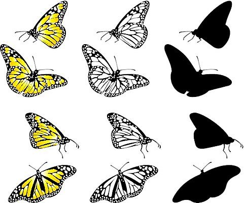 EPS 해외이미지 클립아트 편집 디자인 행복 실루엣 나비 곤충 일러스트 자연 저울 컬러풀 봄 기쁨 그림 리빙 고립 엘리먼트 현실 해외202004 해외일러스트 동물 계절 감정 컬러 촬영기법 생태계 파일형식 벡터 이미지허브