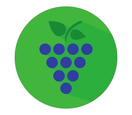 EPS 해외이미지 식물 디자인 열매 선 음식 잎 농업 과일 일러스트 포도 디저트 그래픽 와인 플랫 달콤 먹기 심볼 사인 유기농 심플 윤곽 포도나무 내추럴 고립 숙성 양조장 채식주의자 타격 미니멀 해외202004 해외일러스트 웰빙 산업 모션 주류 맛 과일나무 채식 파일형식 벡터 이미지허브