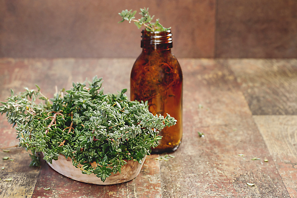 포토 JPG 해외이미지 식물 꽃 음식 줄기 잎 재료 자연 유리 건강 요리 사람없음 세로 초록색 약 건강관리 정원 나뭇가지 신선 조미료 맛 다발 허브 향신료 보따리 유기농 매움 향기 아로마 향 아로마테라피 내추럴 백리향 입가심 카피스페이스 해외202004 해외포토 나무 웰빙 컬러 컨셉 의학 재질 관리 공백 생태계 냄새 테라피 향미료 파일형식 이미지허브