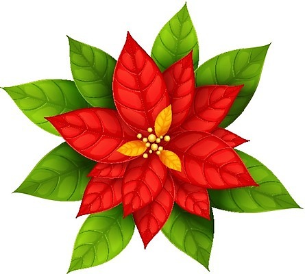 EPS 해외이미지 1 전통 계절 꽃잎 꽃 별 화분 꽃다발 백그라운드 잎 크리스마스 일러스트 자연 휴가 초록색 벚꽃 흰색 축하 정상 심볼 오브젝트 싱글 포인세티아 내추럴 고립 진짜 타격 해외202004 해외일러스트 자연요소 식물 기념일 컬러 컨셉 모션 생태계 파일형식 벡터 이미지허브