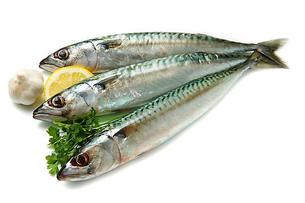 포토 JPG 해외이미지 백그라운드 파슬리 마늘 어류 요리 사람없음 빛 신선 레몬 해산물 꼬리 슛 고등어 점심식사 해외202004 해외포토 채소 과일 식사 수중동물 파일형식 이미지허브