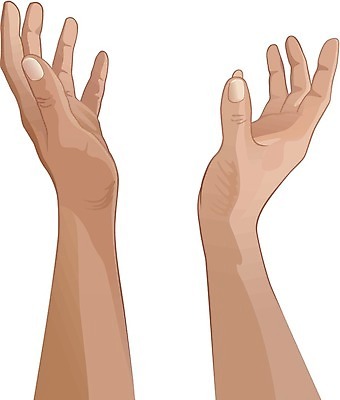 EPS 해외이미지 백인 손 백그라운드 일러스트 손가락 해부 손바닥 사람 그래픽 엄지손가락 흰색 쌍 오브젝트 그림 심플 고립 엘리먼트 해외202004 해외일러스트 서양인 컬러 의학 신체부위 파일형식 벡터 이미지허브