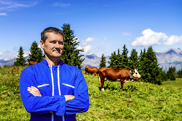 포토 JPG 해외이미지 동물 밭 농업 자연 한명 서기 야외 농장 팔짱 기댐 우유 프랑스 수확 시골 소 군중 농부 컨테이너 외양간 해외202004 해외포토 직업 1 유럽 산업 포유류 모션 유제품 사람 생태계 파일형식 이미지허브