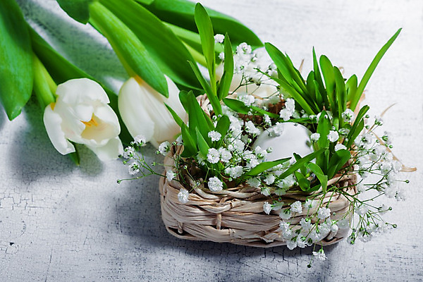 포토 JPG 해외이미지 계절 행복 휴가 부활절 사람없음 장식 컬러풀 튤립 흰색 축하 유머 부활절계란 해외202004 해외포토 기념일 꽃 감정 컬러 컨셉 계란 파일형식 이미지허브