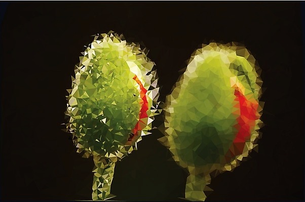 EPS 해외이미지 디자인 옷 꽃 백그라운드 꽃무늬 패턴 밭 일러스트 벽지 추상 미술 여러명 빨간색 초록색 노란색 유행 정원 검은색 어둠 봄 손상 벚꽃 흰색 직물 인쇄 타일 시골집 질감 양귀비 공상 자수 페이즐리 포장소품 해외202004 해외일러스트 식물 계절 컬러 다수 컨셉 무늬 농업 포장 문화예술 주택 사람 오브젝트 포장재료 파일형식 벡터 이미지허브