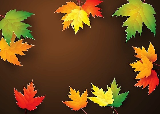 EPS 해외이미지 나무 식물 계절 포스터 백그라운드 단풍 잎 패턴 오렌지 일러스트 자연 벽지 프레임 건조 따뜻함 장식 빨간색 초록색 컬러풀 노란색 환경 화목 활발 덮개 가을 황금 숲 11월 묘사 유기농 질감 정맥 10월 해외202004 해외일러스트 웰빙 컬러 컨셉 무늬 과일 뚜껑 날짜 생태계 혈관 파일형식 벡터 이미지허브