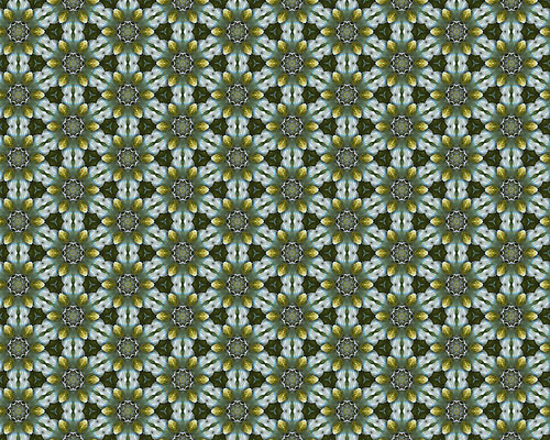 포토 JPG 해외이미지 모양 디자인 꽃 종이 벽 백그라운드 잎 꽃무늬 패턴 곡선 일러스트 자연 벽지 프레임 형상 미술 사람없음 그래픽 장식 컴퓨터 골동품 소용돌이 직물 화려 고급 우아함 실크 두루마리 가득함 그림 질감 복고 정사각형 구식 바로크 빅토리아 엘리먼트 옛날 회복 스타일 해외202004 해외포토 도형 식물 선 컨셉 무늬 문화예술 전자제품 회오리 생태계 파일형식 이미지허브