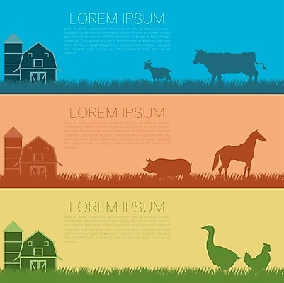EPS 해외이미지 나무 동물 템플릿 디자인 배너 실루엣 백그라운드 밭 농업 일러스트 자연 하늘 염소 주택 미술 풍경 가로 여름 세트 농가 농장 정원 웹 치킨 수확 양 돼지 소 플랫 농부 그림 원예 질감 복고 거위 내추럴 외양간 해외202004 해외일러스트 식물 직업 계절 산업 인터넷 포유류 조류 문화예술 촬영기법 취미 건물 생태계 닭고기요리 파일형식 벡터 이미지허브