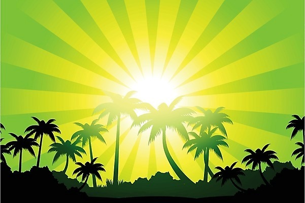 EPS 해외이미지 나무 계절 실루엣 일러스트 자연 하늘 손바닥 풍경 사람없음 여름 태양 침묵 광선 장면 수평선 해외202004 해외일러스트 자연요소 식물 손 촬영기법 소리 생태계 파일형식 벡터 이미지허브