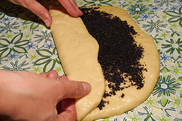 포토 JPG 해외이미지 손 음식 탁자 디저트 주택 요리 사람없음 과자 케이크 주방 숟가락 식탁보 업무 달콤 설탕 굽기 준비 날것 반죽 만들기 롤 밀가루 양귀비 타르트 해외202004 해외포토 꽃 빵 가구 모션 수저 건물 신체부위 작업 맛 가루 구이 파이_빵 파일형식 이미지허브