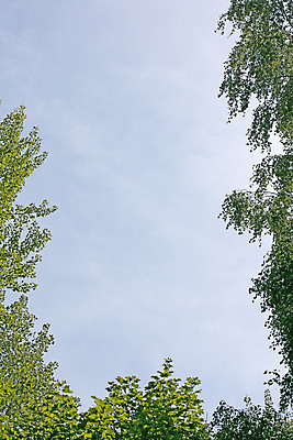 포토 JPG 해외이미지 나무 식물 구름 모래 파도 바다 섬 여행 잎 자연 하늘 휴가 휴식 손바닥 풍경 사람없음 야외 초록색 물 여름 파란색 햇빛 태양 맑음 침묵 흰색 만 뜨거움 휴양지 코코넛 대서양 석호 파라다이스 해외202004 해외포토 자연요소 손 계절 컬러 컨셉 과일 날씨 소리 장소 생태계 파일형식 이미지허브