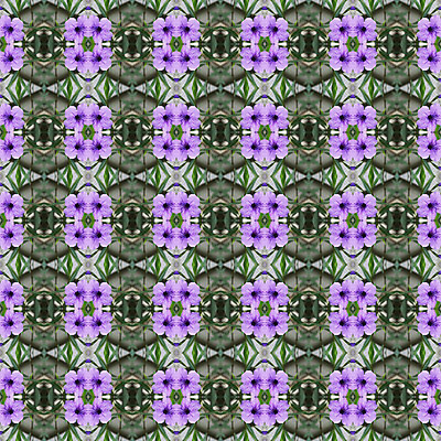 포토 JPG 해외이미지 식물 전통 계절 꽃 백그라운드 잎 패턴 자연 벽지 추상 사람없음 치료 가로 초록색 컬러풀 성장 제비꽃 즐거움 뿌리 꼬투리 해외202004 해외포토 감정 컬러 무늬 의학 생태계 파일형식 이미지허브