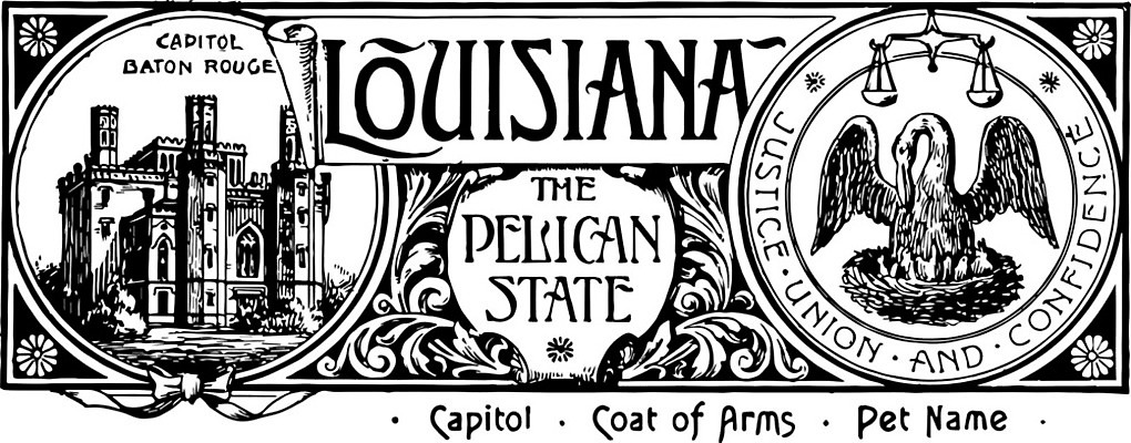 EPS 해외이미지 선 일러스트 조류 미술 검은색 수확 흰색 물개 펠리컨 그림 판화 공정 해외202004 해외일러스트 동물 컬러 농업 포유류 문화예술 바다동물 파일형식 벡터 이미지허브