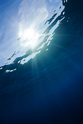 포토 JPG 해외이미지 바다 여행 백그라운드 사람없음 물 파란색 태양 수중 다이빙 홍해 해외202004 해외포토 자연요소 컬러 수영 수중스포츠 파일형식 이미지허브