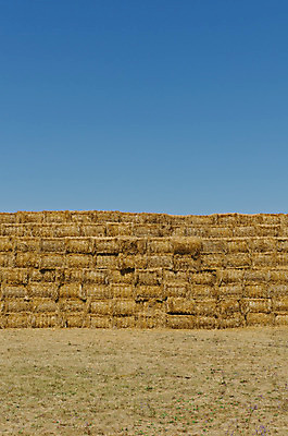 포토 JPG 해외이미지 식물 계절 빵 밭 농업 자연 건조 사람없음 농작물 농장 농경지 노란색 쌓기 수확 가을 시골 황금 건초더미 볏짚 낟알 시리얼 밀 보리 장면 뭉치 밀짚 흙더미 짐싸기 밭일 해외202004 해외포토 산업 음식 컬러 모션 곡류 흙 건초 짚 생태계 파일형식 더미 이미지허브