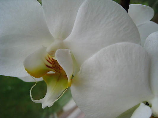 포토 JPG 해외이미지 나무 꽃 잎 사람없음 초록색 여름 봄 게 바위 흰색 하트 아스팔트 나무껍질 해외202004 해외포토 모양 식물 계절 도로 컬러 갑각류 껍질 돌_바위 파일형식 이미지허브