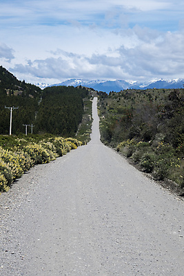 포토 JPG 해외이미지 나무 1 도로 여행 백그라운드 곡선 자연 새로움 산 거리 풍경 사람없음 야외 목재 노란색 시골 고속도로 아스팔트 11월 언덕 사인 먼지 장면 칠레 남쪽 내추럴 7 해외202004 해외포토 식물 길 선 컬러 컨셉 재료 교통시설 숫자 날짜 남아메리카 방향 생태계 파일형식 이미지허브