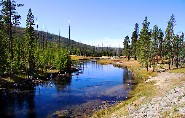 포토 JPG 해외이미지 나무 공원 호수 여행 자연 하늘 아침 산 풍경 사람없음 야외 초록색 물 여름 파란색 강 평화 환경 침묵 봄 가을 숲 언덕 장면 내추럴 와이오밍 전국 해외202004 해외포토 주간 자연요소 식물 계절 공공시설 컬러 컨셉 소리 생태계 파일형식 이미지허브