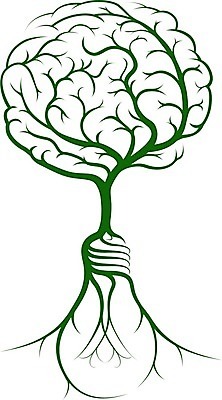 EPS 해외이미지 클립아트 나무 식물 교육 실루엣 컨셉 잎 생각 일러스트 비즈니스 전구 상상 추상 아이디어 건강 창조 사람 그래픽 초록색 빛 환경 성장 나뭇가지 마음 램프 가르침 심볼 사인 뇌 뿌리 혁명 벌거벗은 지능 해외202004 해외일러스트 컬러 무늬 조명 촬영기법 파일형식 벡터 이미지허브