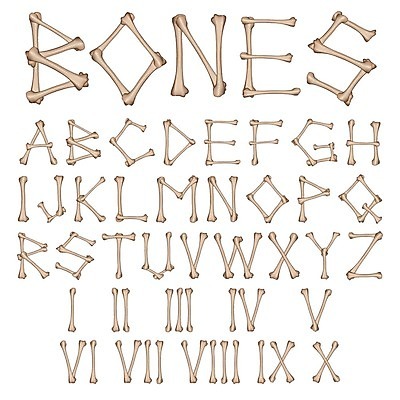 EPS 해외이미지 클립아트 모양 캐릭터 디자인 알파벳 영어 신체 일러스트 텍스트 해부 뼈 골격 사람 그래픽 장식 단어 세트 약 할로윈 수확 흰색 죽음 인쇄 무서움 편지 심볼 묘사 오브젝트 생물학 해적 타입 고립 대본 바보 엘리먼트 옛날 해골모형 호러 스타일 해외202004 해외일러스트 일러캐릭터 문자 교육 감정 컬러 농업 의학 모형 도둑 공포 파일형식 벡터 이미지허브