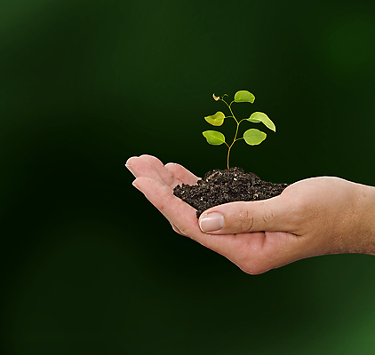 포토 JPG 해외이미지 주간 손 들기 야외 신체부위 새싹 흙 해외202004 해외포토 자연요소 식물 모션 사람 파일형식 이미지허브