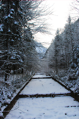 포토 JPG 해외이미지 나무 계절 공원 호수 백그라운드 겨울 자연 날씨 풍경 사람없음 야외 목재 물 강 환경 냉동 얼음 봄 추위 흰색 나뭇가지 개울 황무지 숲 시원함 12월 서리 해외202004 해외포토 자연요소 식물 공공시설 컬러 재료 날짜 생태계 파일형식 이미지허브