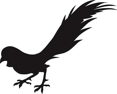 EPS 해외이미지 모양 동물 디자인 실루엣 포즈 백그라운드 날개 일러스트 조류 형상 미술 검은색 자유 흰색 문신 깃털 사인 그림 꼬리 꿩 스타일 해외202004 해외일러스트 컬러 컨셉 문화예술 촬영기법 파일형식 벡터 이미지허브
